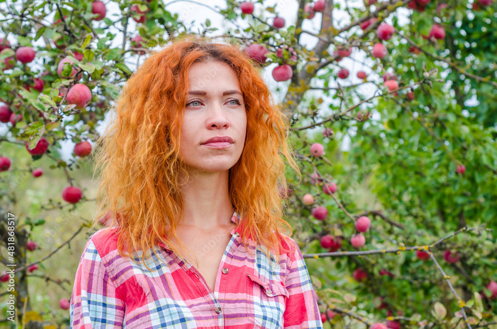 Bright photo of beautiful woman on blurred background of apple orchard. Red hair, blue eyes, pensive look. Bright photo of beautiful woman on blurred background of apple orchard. Red hair, blue eyes, pensive look.