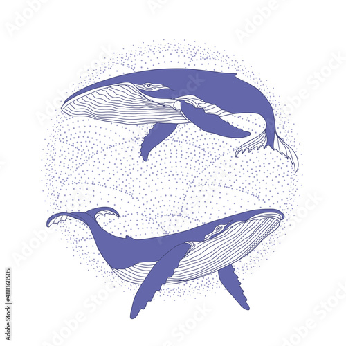 A pair of humpback whales on the waves emblem in very peri color