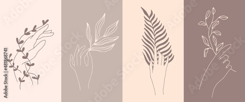 A set of female hand emblems in a minimalistic linear style. Gestures of hands holding a branch with leaves. For cosmetics design, beauty studio