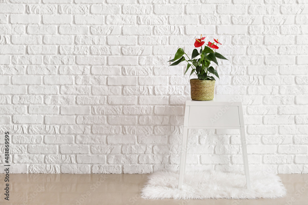 Anthurium flower on table near white brick wall Anthurium flower on table near white brick wall