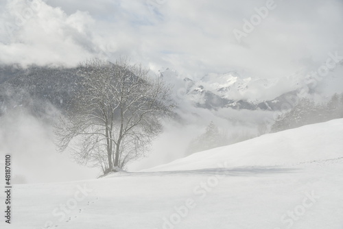 Paysage d'hiver - Alpes françaises