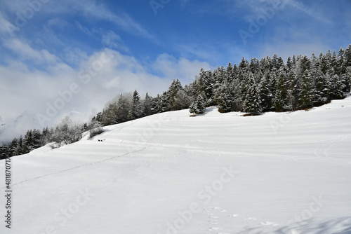 Paysage d'hiver - Alpes françaises © thibhou