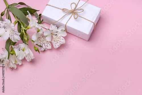 bouquet of alstroemeria and a gift box on a pink background. © Irina