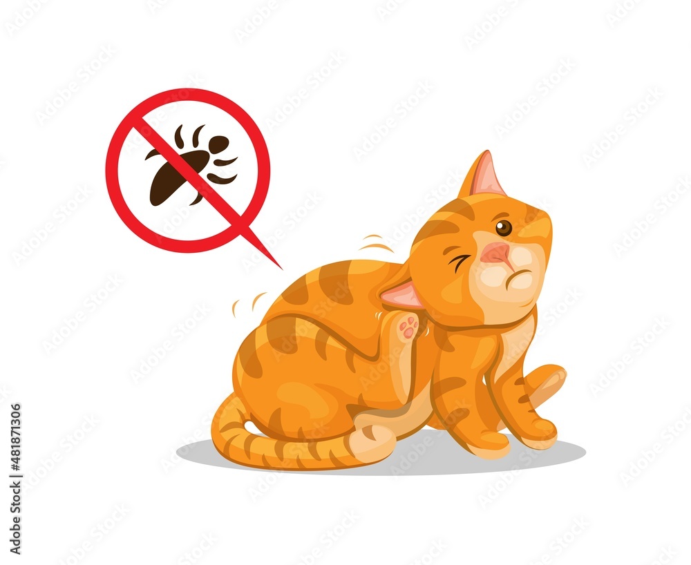 Cat itchy of lice. pet animal parasite skin problem cartoon
