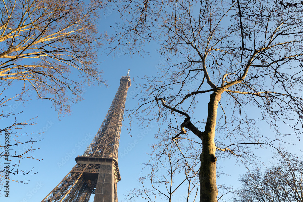 Eiffel Tower with bare trees
