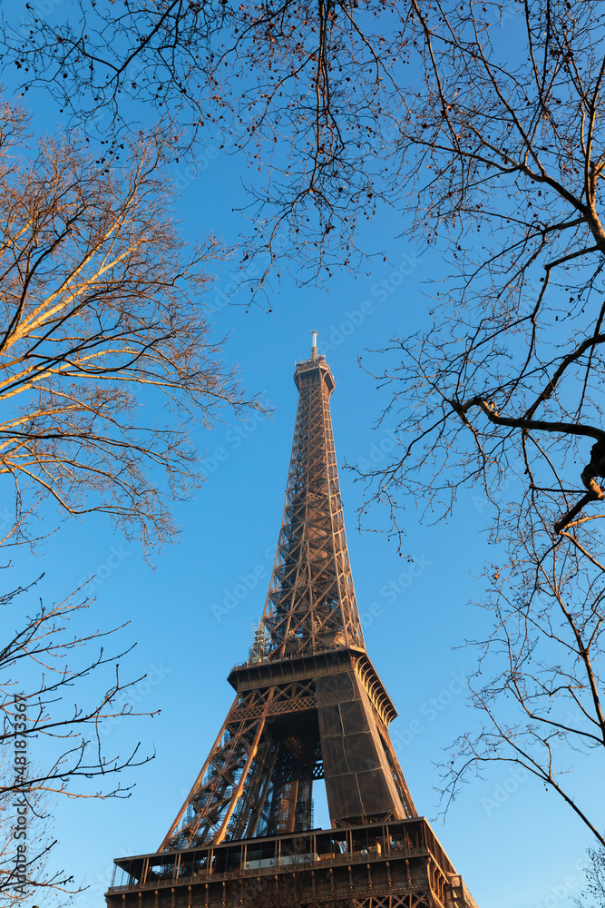 Eiffel Tower with bare trees