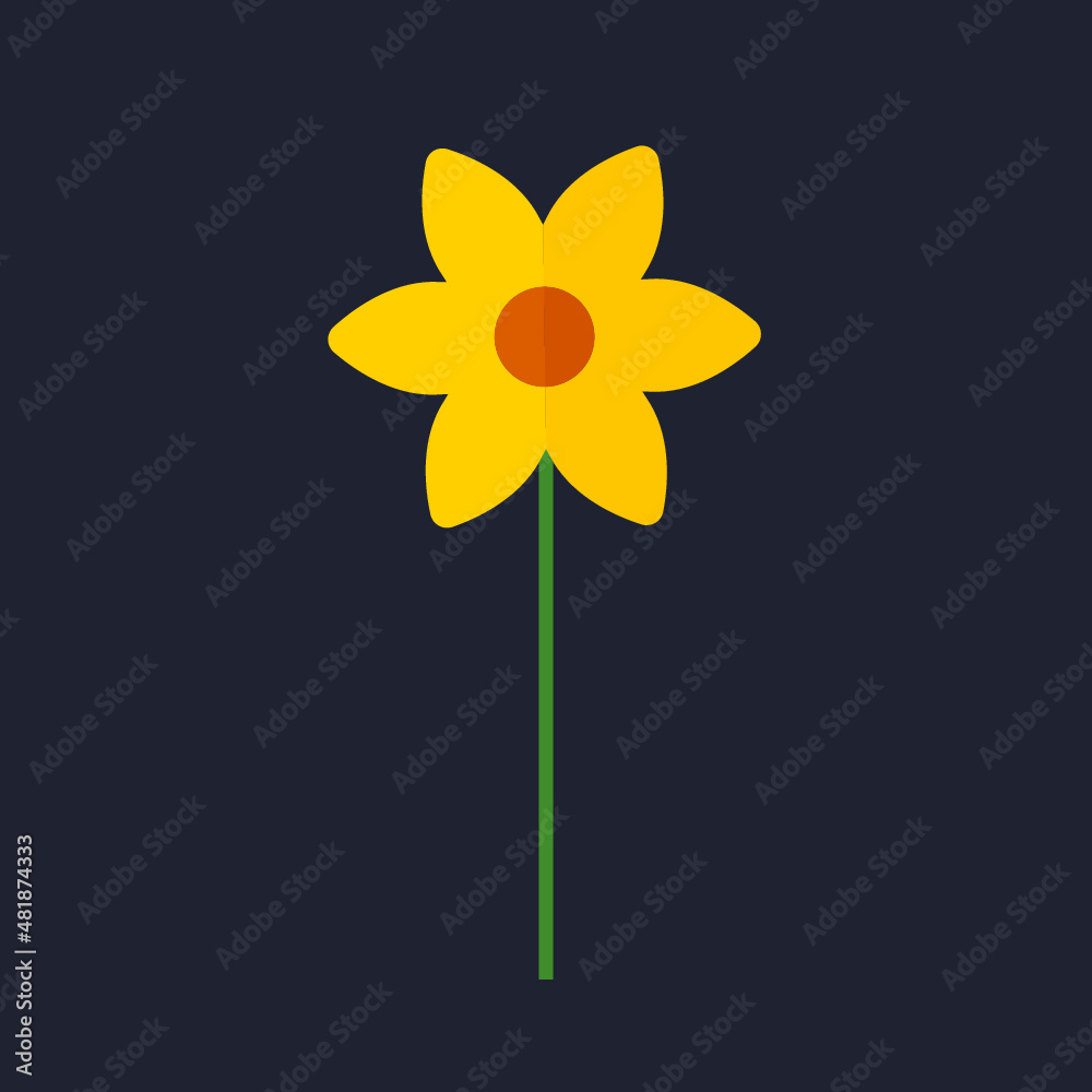 Yellow daffodil flower on background. Narcissus flower, Vector Yellow daffodil flower on background. Narcissus flower, Vector