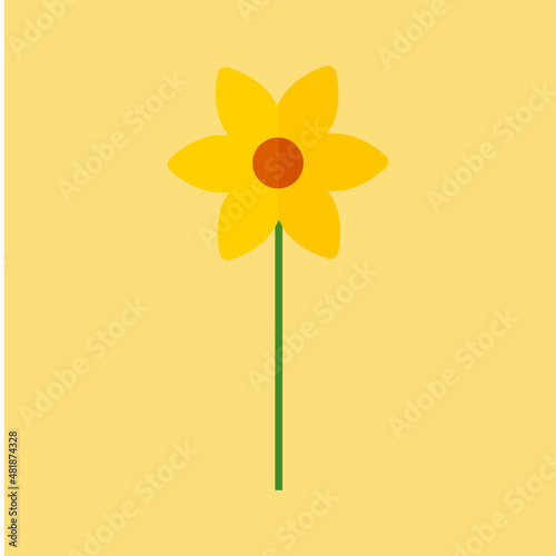 Yellow daffodil flower on background. Narcissus flower, Vector