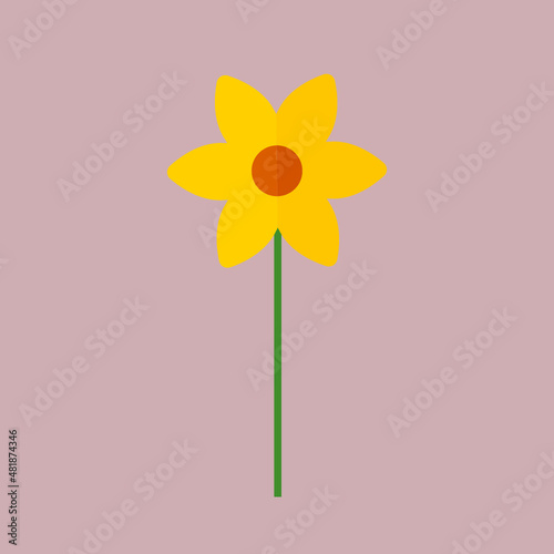 Yellow daffodil flower on background. Narcissus flower, Vector