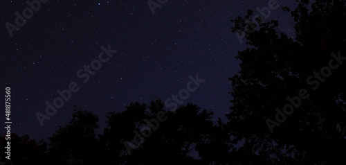 Stars on a calm evening in North Carolina
