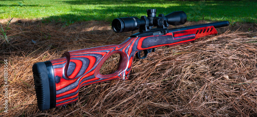 Laminated thumbhole stock and scope on a rimfire rifle photo