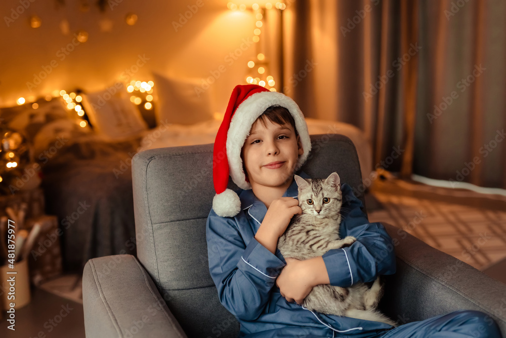 Obraz premium a 10-year-old boy in blue pajamas and a red Christmas cap is holding a small British kitten in his hands. decorated room with magical christmas lights