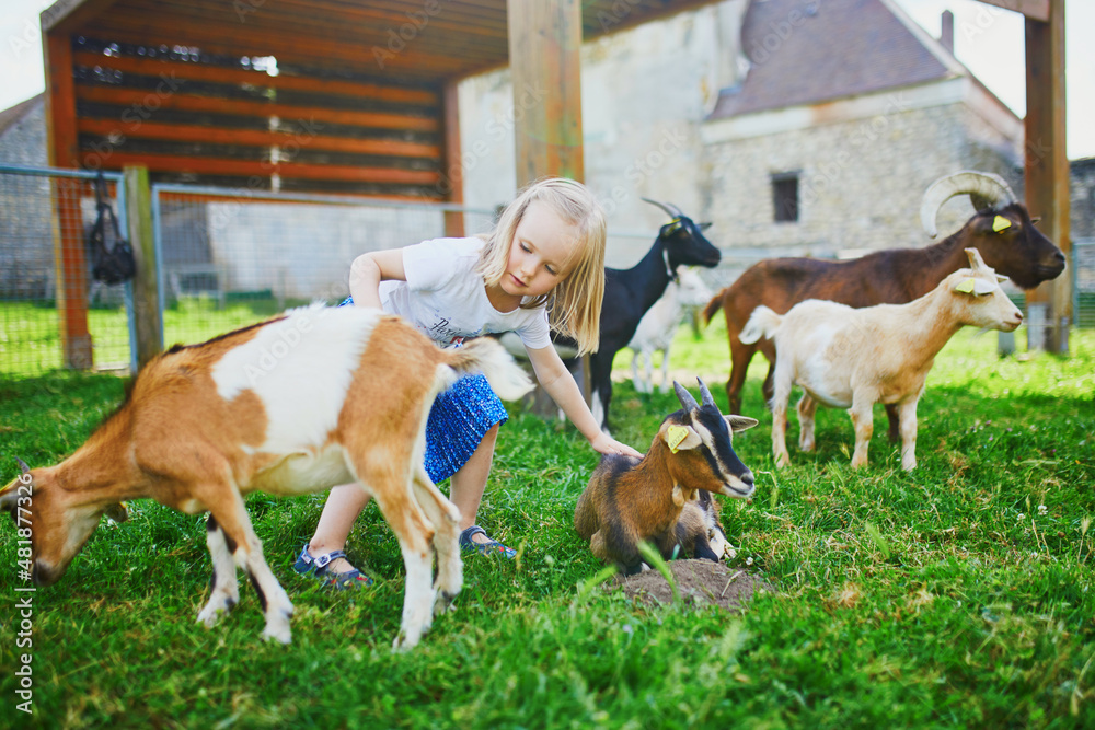 Girl playing with goats at farm. Child familiarizing herself with animals. Farming and gardening for small children. Outdoor summer activities for kids Girl playing with goats at farm. Child familiarizing herself with animals. Farming and gardening for small children. Outdoor summer activities for kids