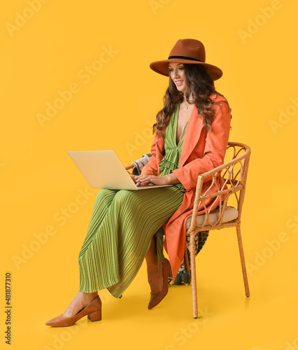 Young fashionable woman sit...