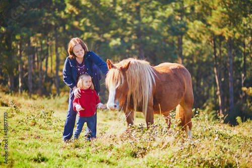 Young woman and 3 year old girl caressing a horse on pasture