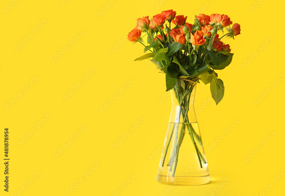 Obraz premium Vase with beautiful orange roses on yellow background