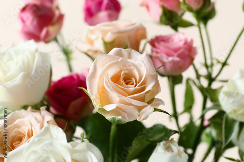 Bouquet of beautiful roses on beige background  closeup