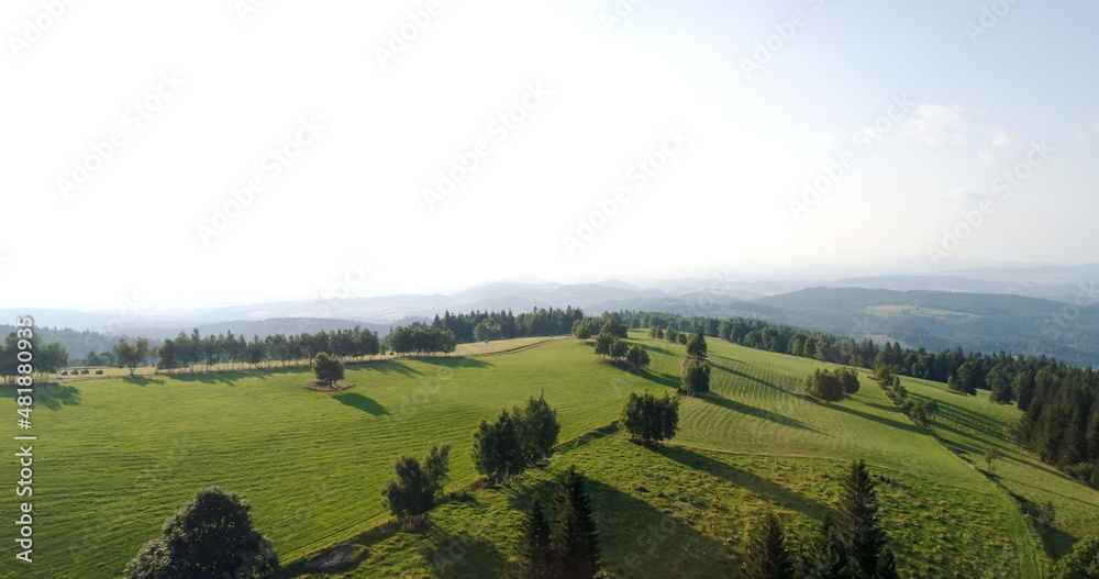 Obraz premium Blue Sky and Forest Drone Shot from Above. Beautiful Landscape View.