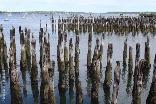 pilings in the ocean