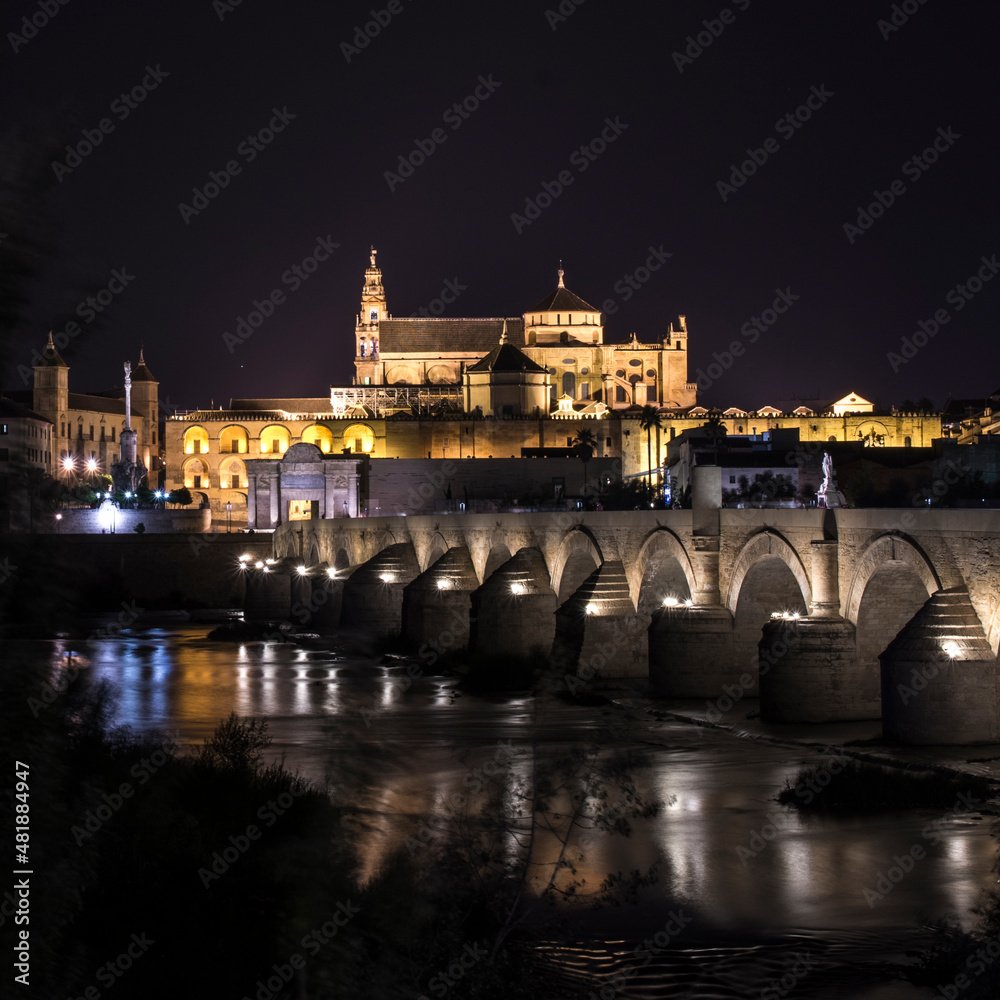 Cordoba Cathedral with bridge