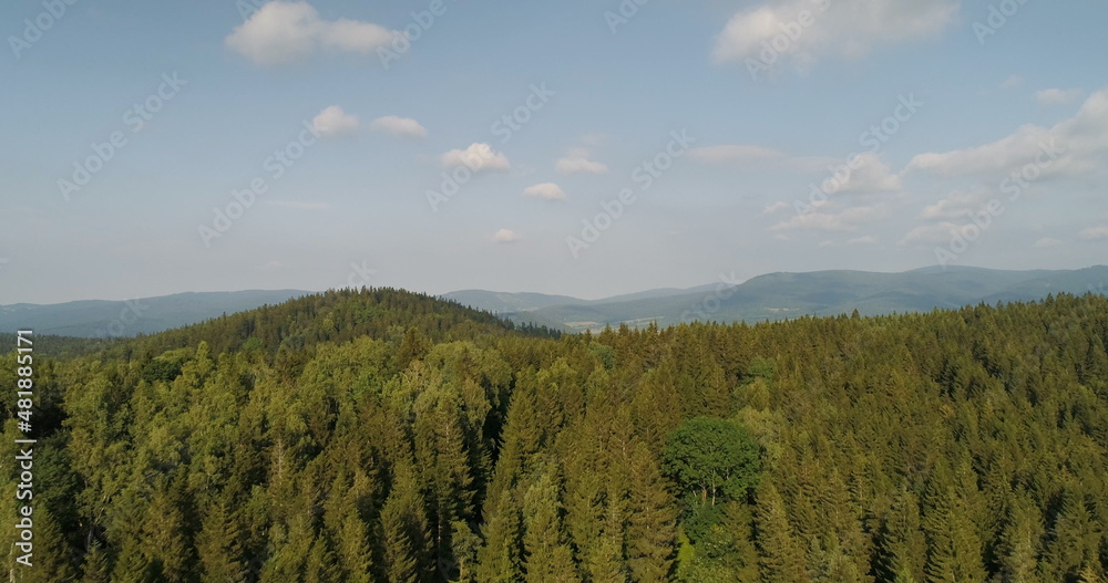 Blue Sky and Forest Drone Shot from Above. Beautiful Landscape View.
