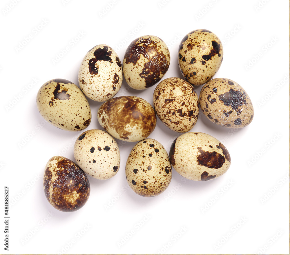 Quail eggs isolated on white background. Healthy food concept. Top view
