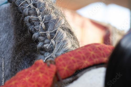 Close up detail of traditional bottom braids doma vaquera