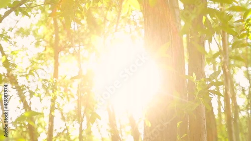 Hitze in Deutschland im Frühling
