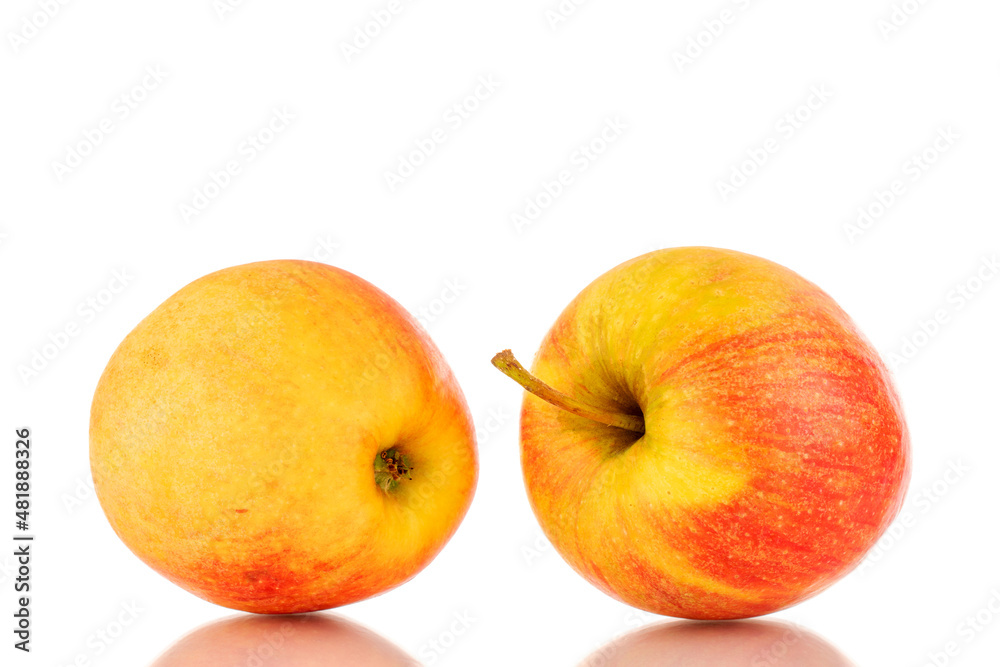 Two red juicy apples, macro, isolated on white. Two red juicy apples, macro, isolated on white.