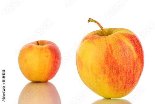 Two red juicy apples, macro, isolated on white.