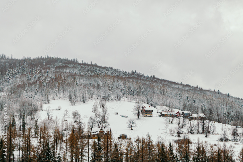 winter landscape of mountains and forests on cloudy day