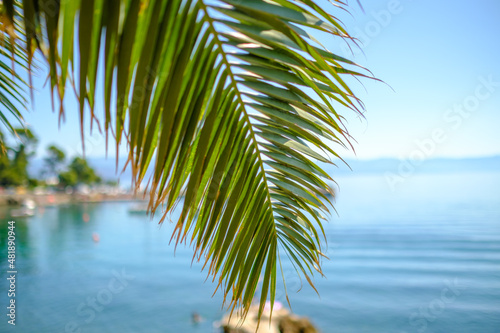 Palm leaf with sea and mountains on the background with copy space. Wall paper or tour agency advertisement concept. Beach resort