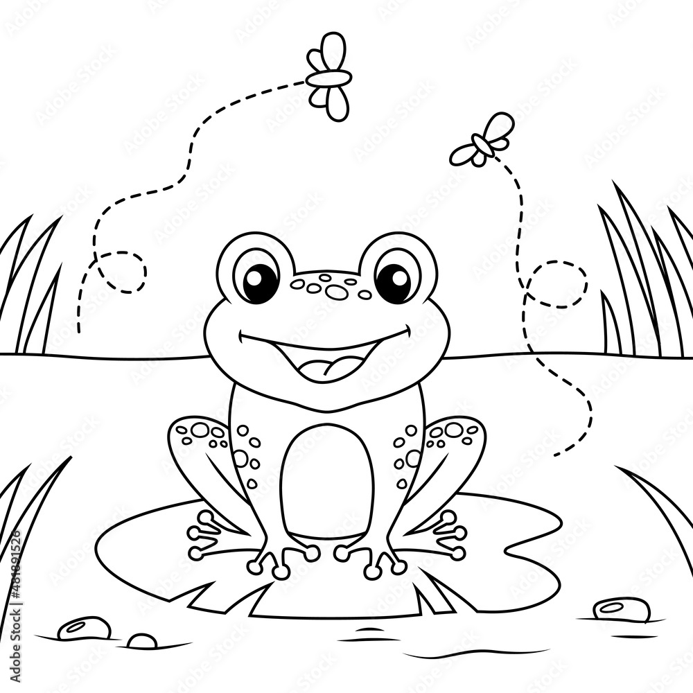 Frog sitting on leaf of water lily. Black and white vector illustration