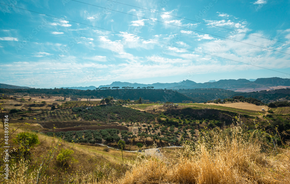 Fototapeta premium Andalusia landscape, Spain
