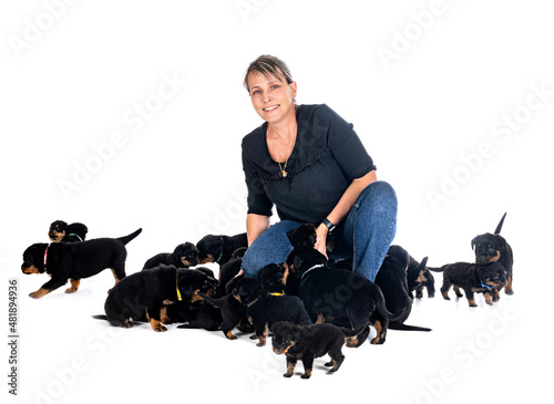 Foto puppies rottweiler and breeder