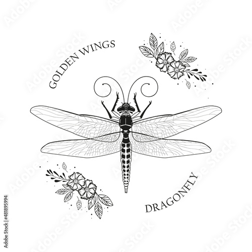 Vector illustration of a dragonfly and flowers.Graphic drawing of an insect.