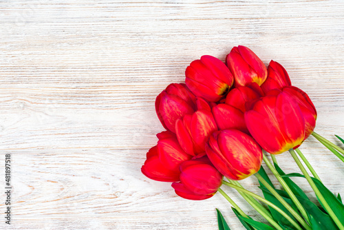 Fototapeta Naklejka Na Ścianę i Meble -  Spring holiday greeting card. Frame of red tulips on white wooden background. Space for text, flat lay