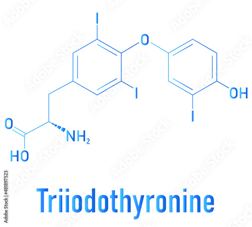 Triiodothyronine or T3, liothyronine, thyroid hormone molecule. Pituitary gland hormone. Also used as drug to treat hypothyroidism. Skeletal formula. photo