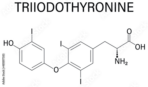 Triiodothyronine or T3, liothyronine, thyroid hormone molecule. Pituitary gland hormone. Also used as drug to treat hypothyroidism. Skeletal formula.
