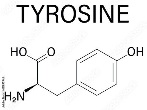 Tyrosine or l-tyrosine, Tyr, Y, amino acid molecule. Skeletal formula.