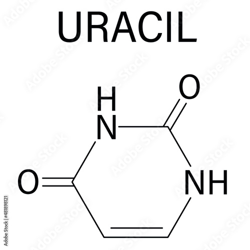 Uracil nucleobase molecule. Present in ribonucleic acid. Skeletal formula.