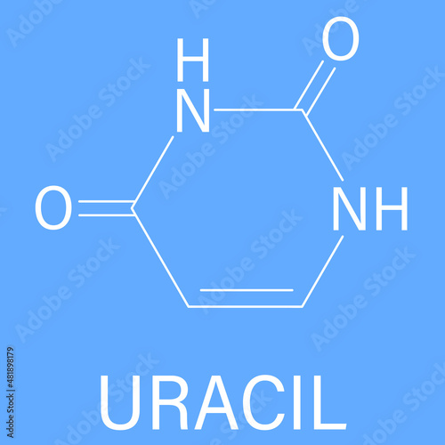 Uracil nucleobase molecule. Present in ribonucleic acid. Skeletal formula.