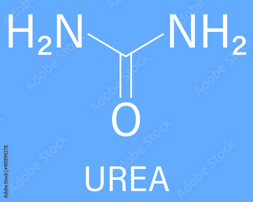 Urea or carbamide molecule. Used in cosmetics, fertilizer; present in urine. Skeletal formula. photo