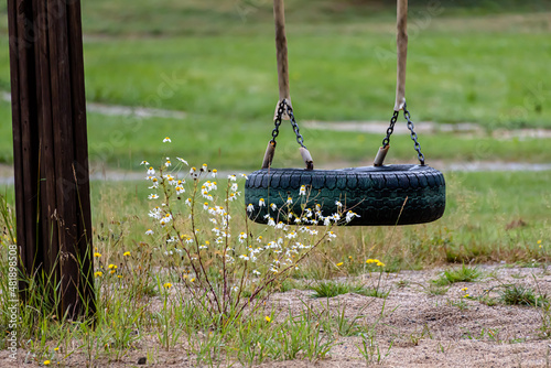 View of empty swing, made from car tyre. Flowers in foreground.  photo