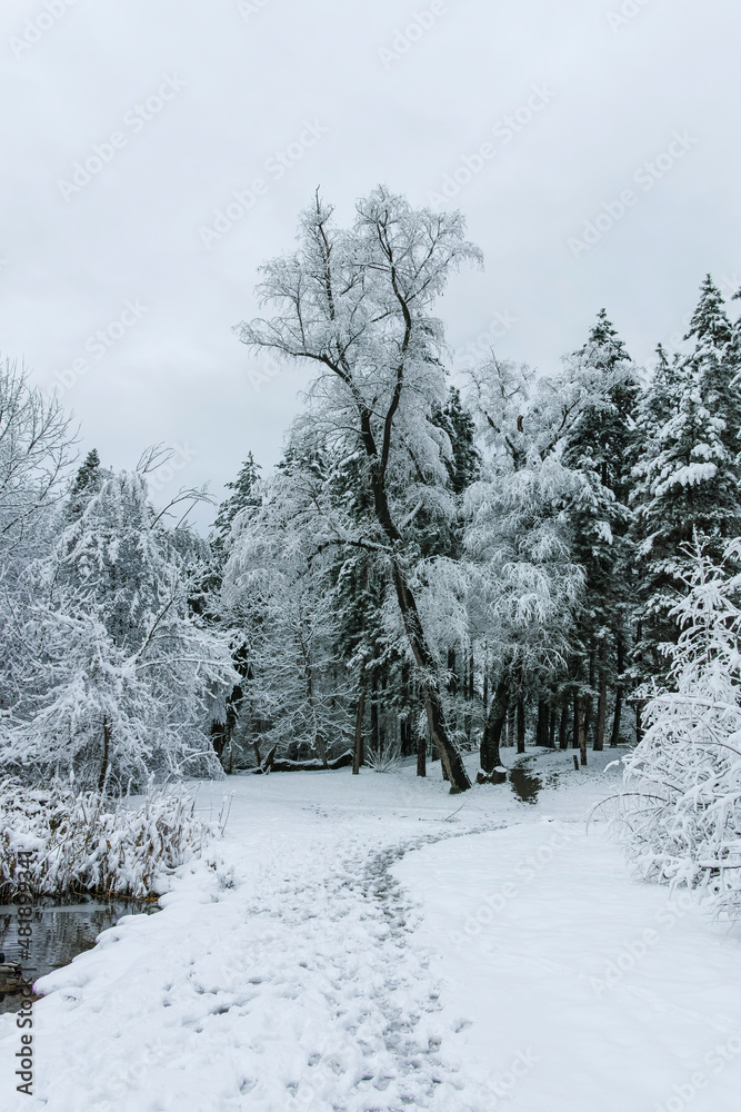 Fototapeta premium Winter view panorama of South Park in city of Sofia, Bulgaria