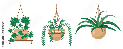 Hangers for decorative house plants or flowers in pots. Hanging macrame pots for indoor Home or office garden. Flat or cartoon icons vector illustration for interior decor and botanical design.