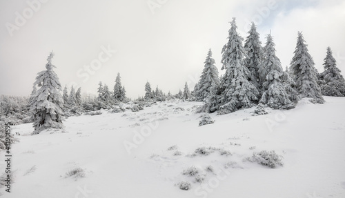 Beautiful winter mountain landscape, Karkonosze National Park, Poland. © MaciejBledowski
