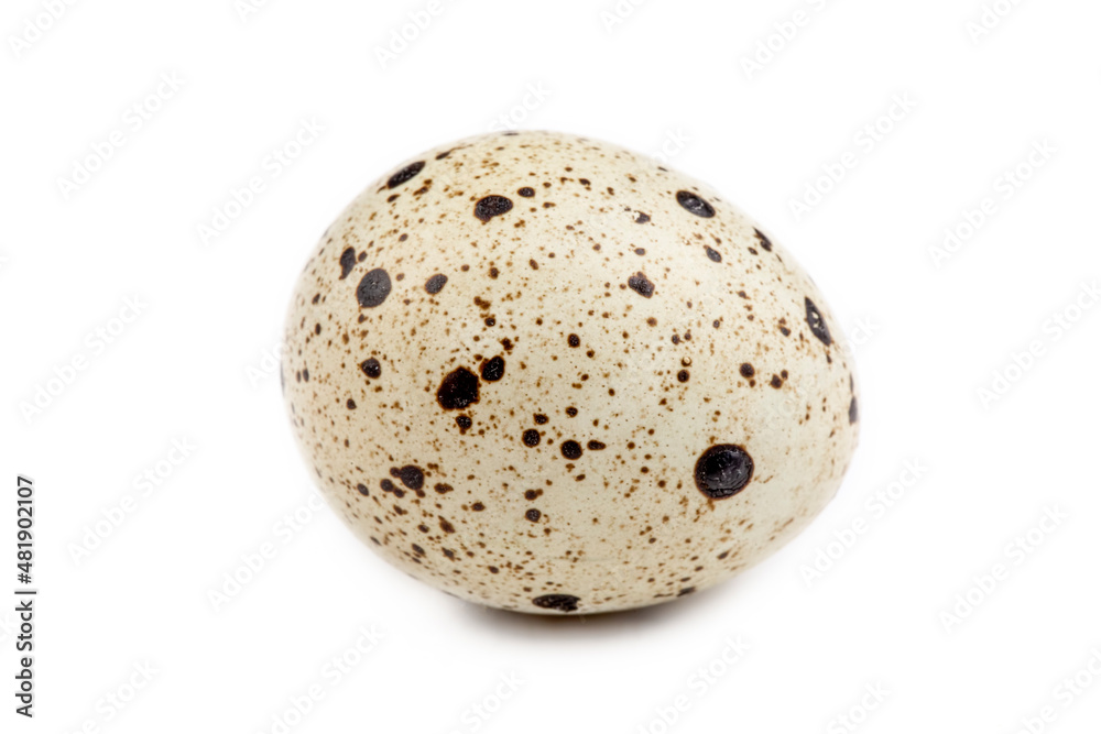 Quail eggs isolated on a white background Quail eggs isolated on a white background