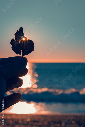 Slika na platnu Leaf at dawn to the sea