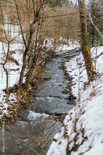 Mountain stream against forest in winter
